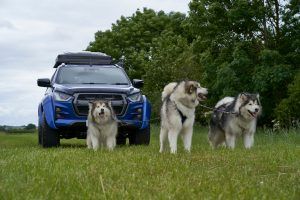 Sleddog Dryland World Championship