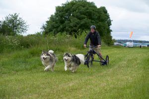 Sleddog Dryland World Championship