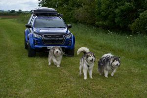 Sleddog Dryland World Championship